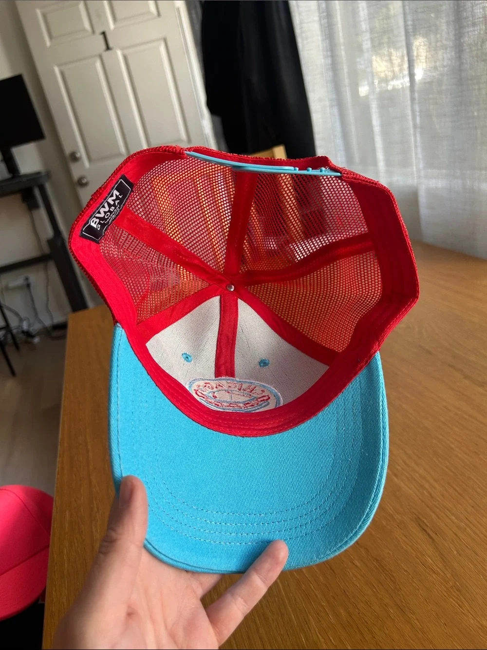 NWOT Chicago Dogs Hat. Snap Back.